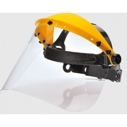 Browguard with Visor