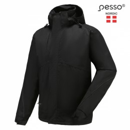 Pegasus ziemas jaka